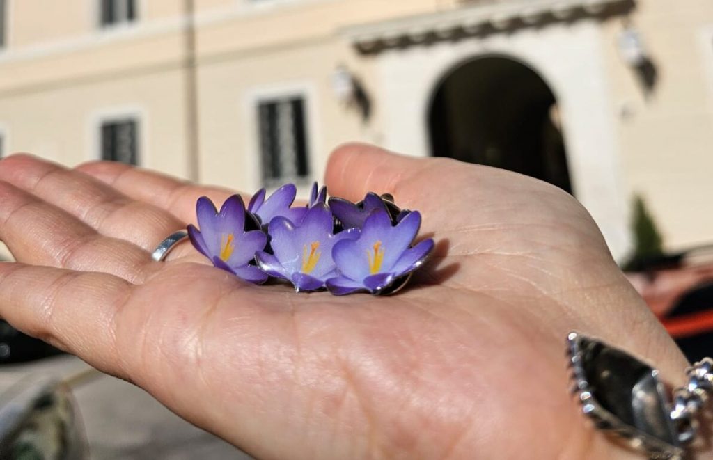 Ricordo vittime sisma 2009, Fiore della memoria distribuito in scuole e tabaccherie