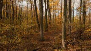 Dove organizzare un weekend d'autunno - aquilatv.it - 20251023