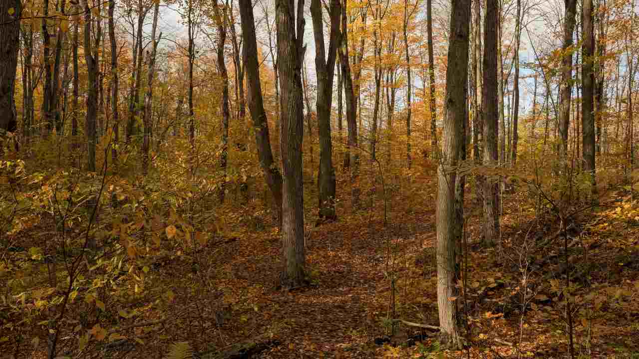 Dove organizzare un weekend d'autunno - aquilatv.it - 20251023