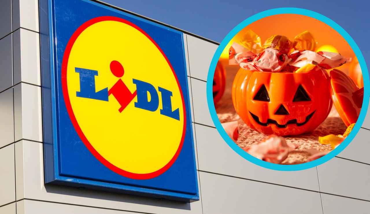 Halloween da Lidl con meno di 20 euro - Aquilatv.it
