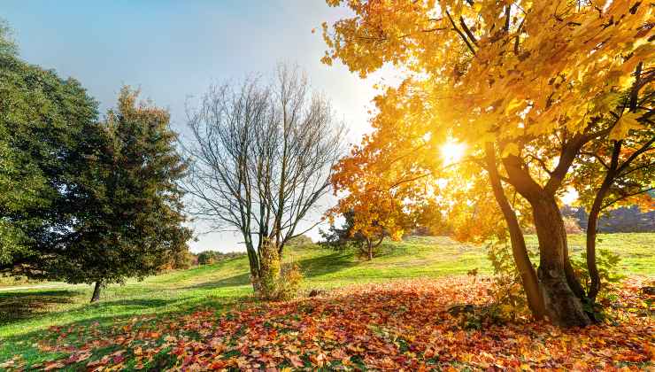 Ottobre, salgono le temperature - aquilatv.it - 20251011