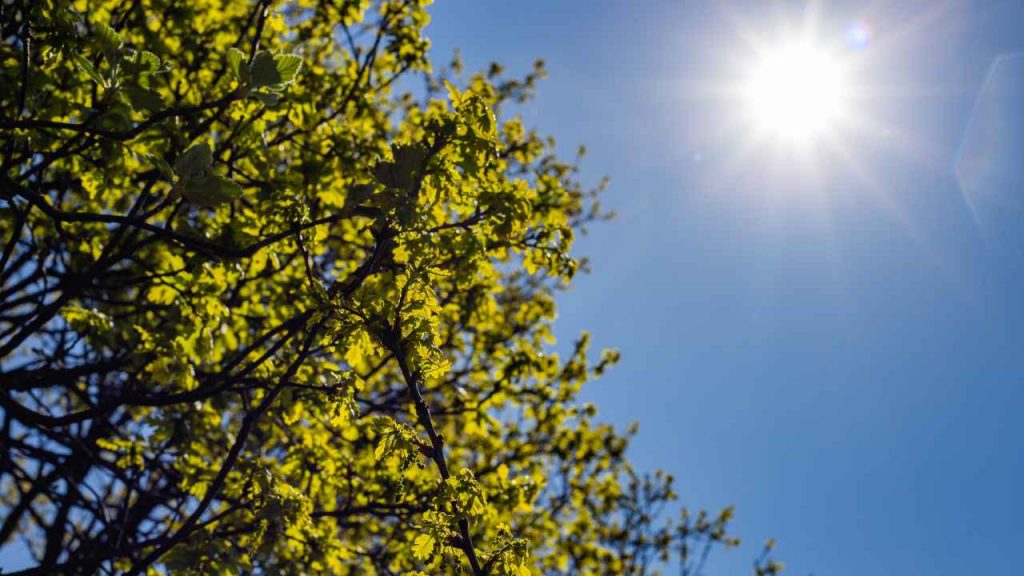 Ottobre, temperature sopra le medie - aquilatv.it - 20251011