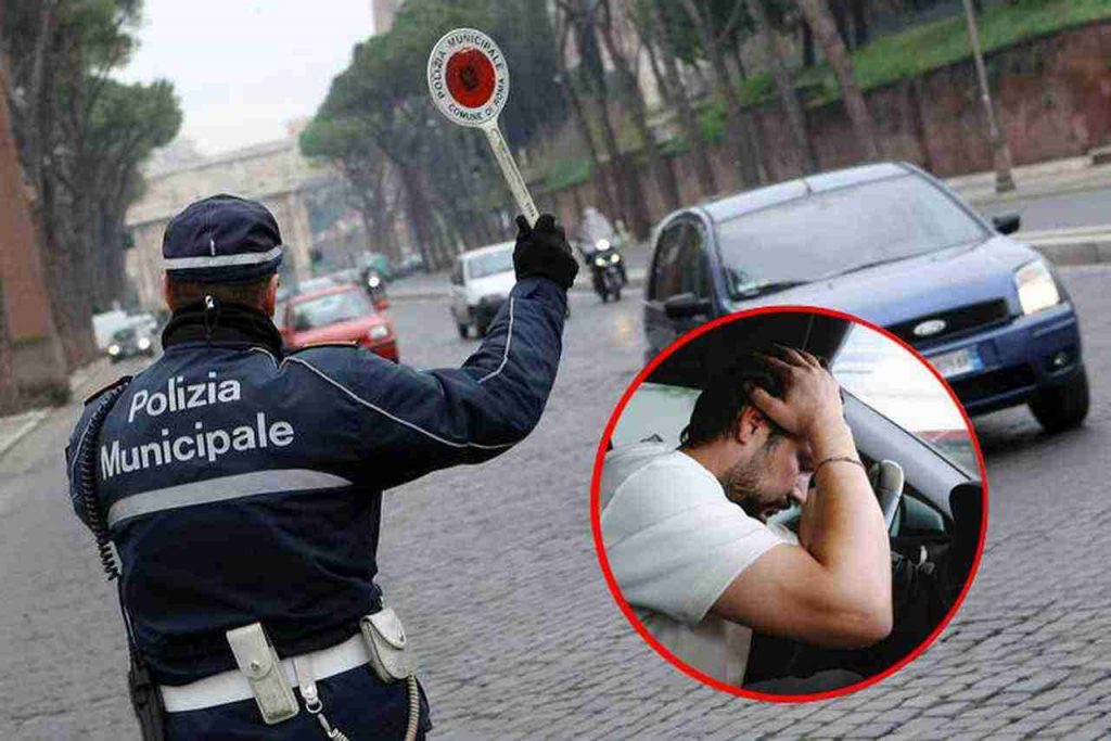 “Scusi agente, ma sono solo piante”, oltre 1.000€ di multa se le metti in auto | La Polizia sta fermando e aprendo i bagagliai
